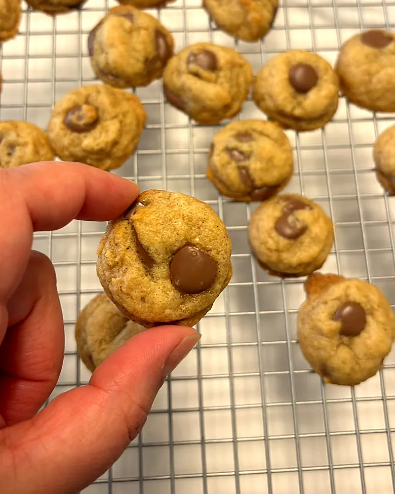 Bite-size petit cookies with milk chocolate, home-baked in Doha
