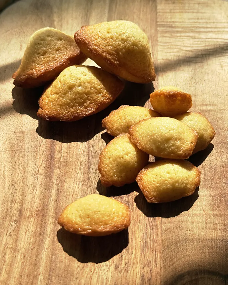 Bite-size petit madeleines beside a full-size one, home-baked in Doha